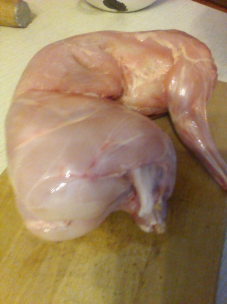 Králik na paprike - obrázok 1