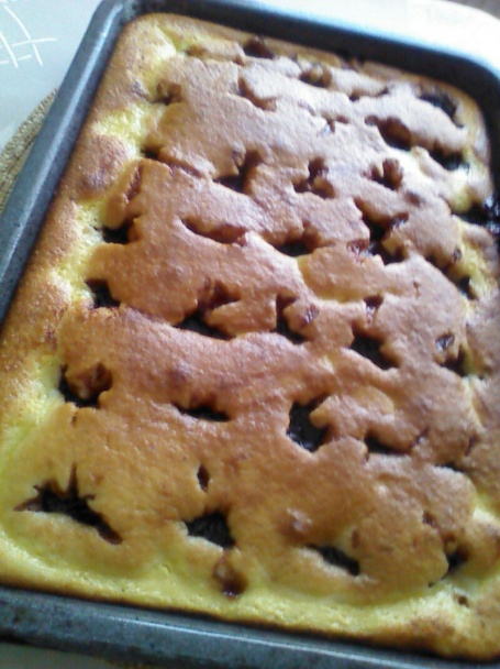 Rýchly tvarohovo-slivkový koláč (fotorecept) - obrázok 4