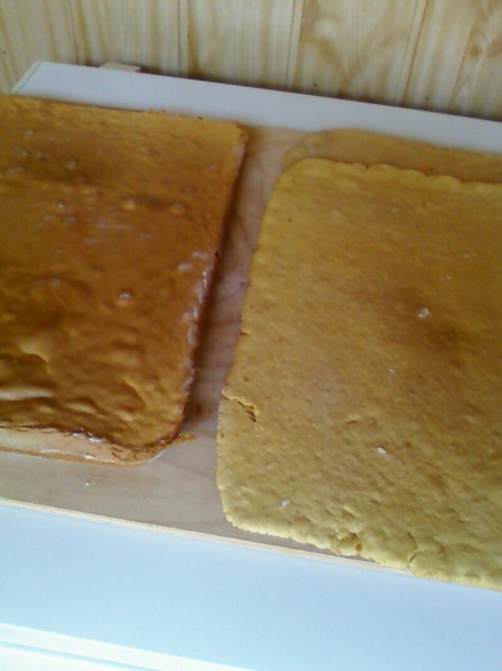 Medovo-pomarančové rezy - obrázok 1