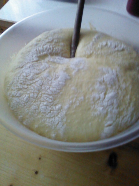 Domáca kysnutá knedľa - obrázok 2