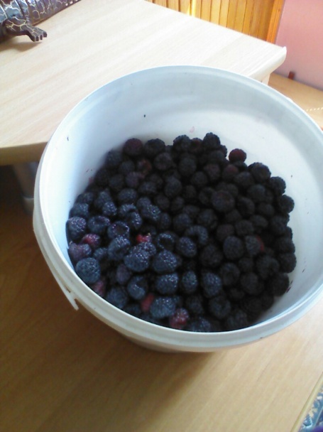 Zavárané černice - obrázok 1