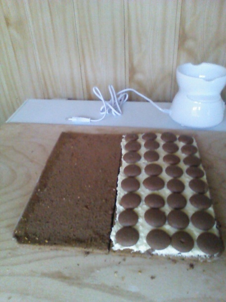 Lagúna rezy - obrázok 4