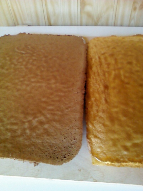 Dvojfarebné kocky (fotorecept) - obrázok 1