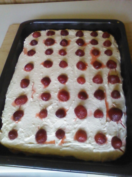 Jahody pod sklom - obrázok 3