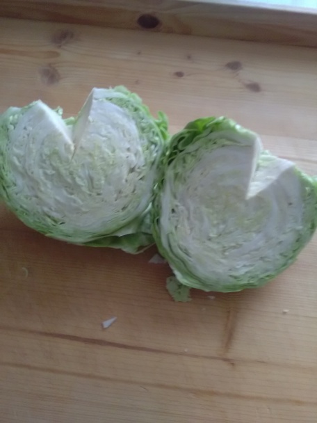 Kapustové domáce fliačky (fotorecept) - obrázok 1
