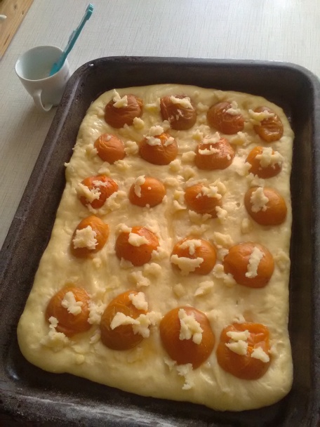 Kysnutý marhuľový koláč s posýpkou (fotorecept) - obrázok 2