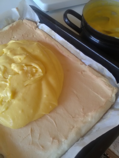 Ľadové kocky (fotorecept) - obrázok 6