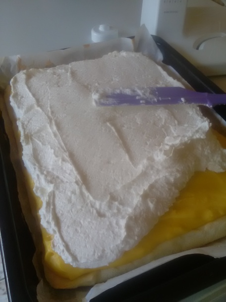 Ľadové kocky (fotorecept) - obrázok 9