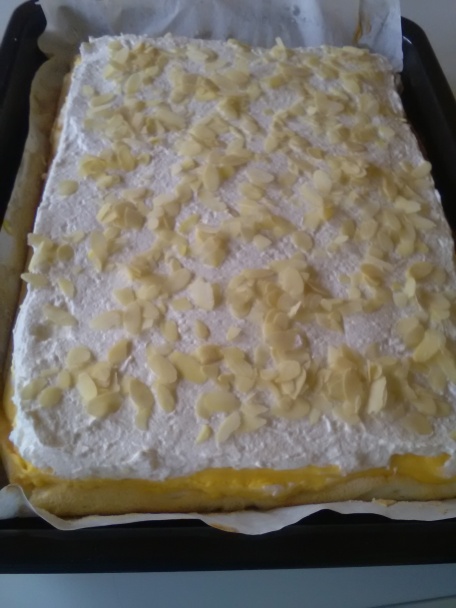 Ľadové kocky (fotorecept) - obrázok 10