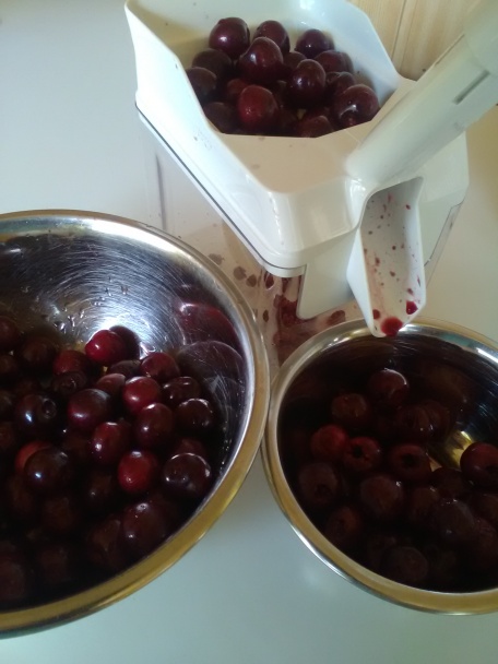 Bublanina s ovocím a pudingom (fotorecept) - obrázok 4