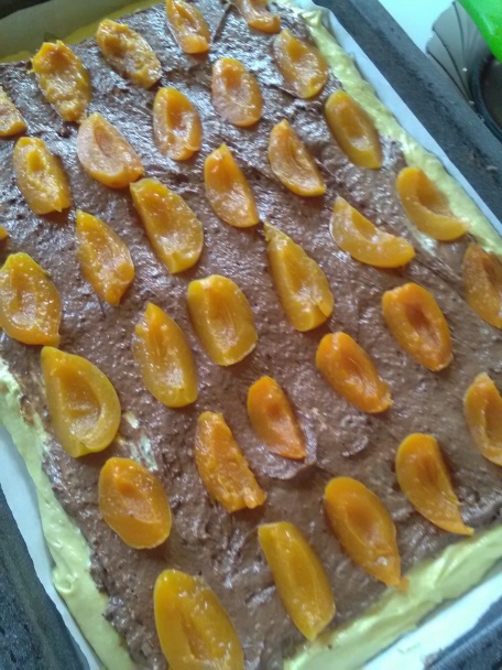 Dunajské vlny (fotorecept) - obrázok 6