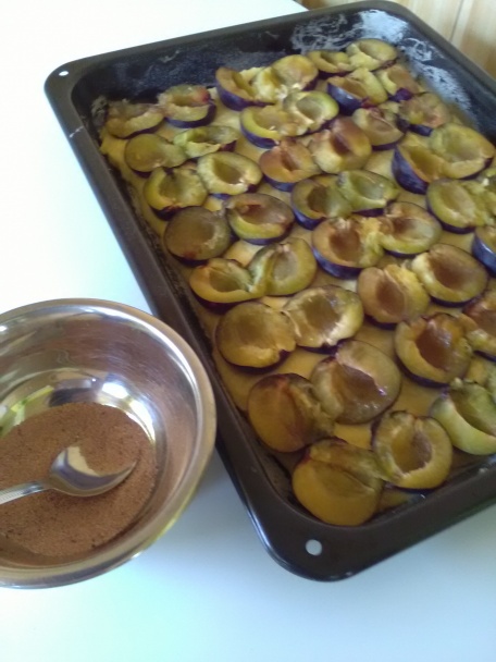 Rýchly slivkový koláč (fotorecept) - obrázok 4