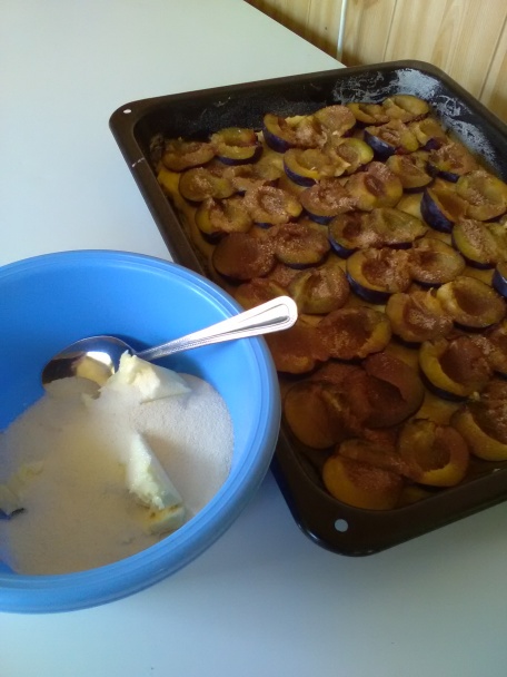 Rýchly slivkový koláč (fotorecept) - obrázok 5