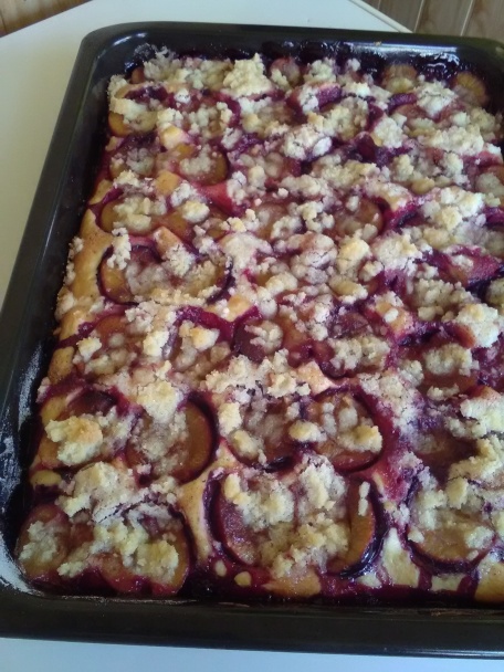 Rýchly slivkový koláč (fotorecept) - obrázok 7