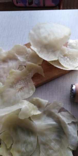 Holúbky - plnené kapustné listy (fotorecept) - obrázok 3