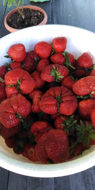 Jahodová torta bez múky s mascarpone krémom (fotorecept) - obrázok 7