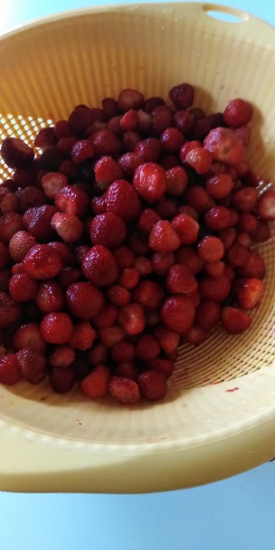Jahodové tvarohové a smotanové nanuky (fotorecept) - obrázok 1