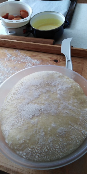 Marhuľové koláče s pudingom (fotorecept) - obrázok 4