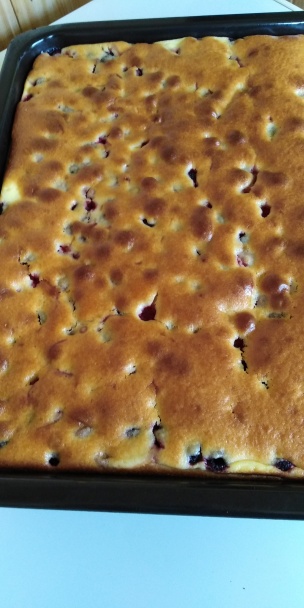 Tvarohový koláč s ovocím (fotorecept) - obrázok 5