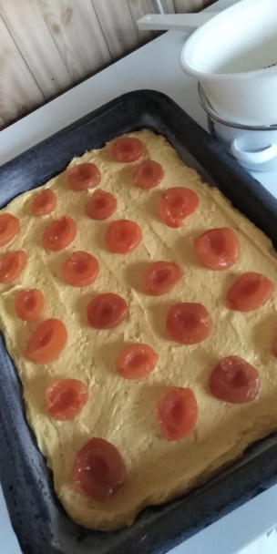 Marhuľové rezy s kokosovou penou (fotorecept) - obrázok 3