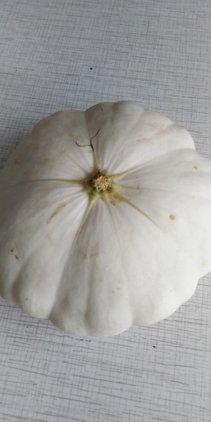 Vyprážaný patizón (fotorecept) - obrázok 1