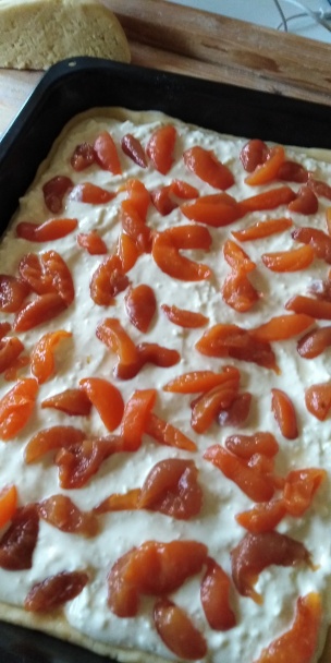 Tvarohovo-marhuľový mrežovník (fotorecept)  - obrázok 7