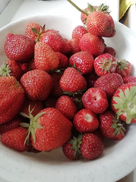 Nepečená jahodovo-tvarohová dobrota (fotorecept)  - obrázok 5