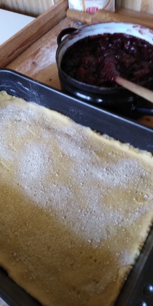 Čerešňový mrežovník (fotorecept) - obrázok 6