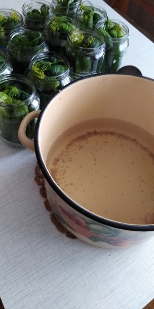 Nakladané uhorky s kôprom (fotorecept)  - obrázok 2