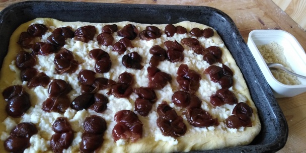 Kysnutý slivkový koláč s posýpkou (fotorecept) - obrázok 3