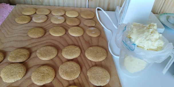 Medové kolieska s pudingovým krémom a karamelovou šľahačkou (fotorecept) - obrázok 6