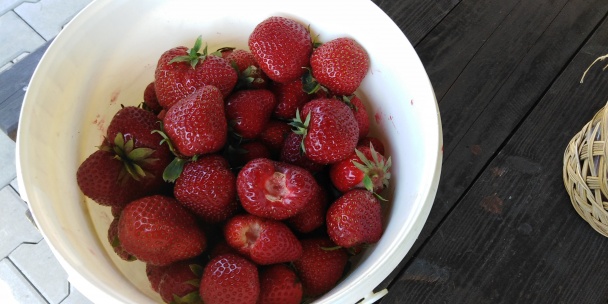 Jahodové pokušenie z odpaľovaného cesta (fotorecept) - obrázok 6