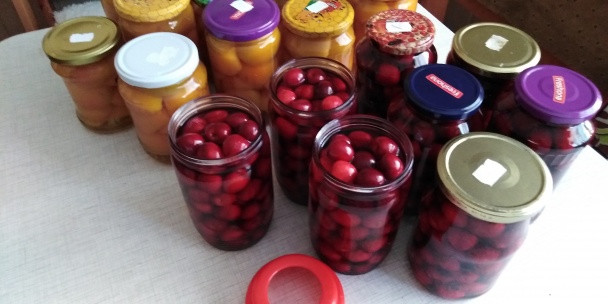 Marhuľový koláč s tvarohom (fotorecept)  - obrázok 5