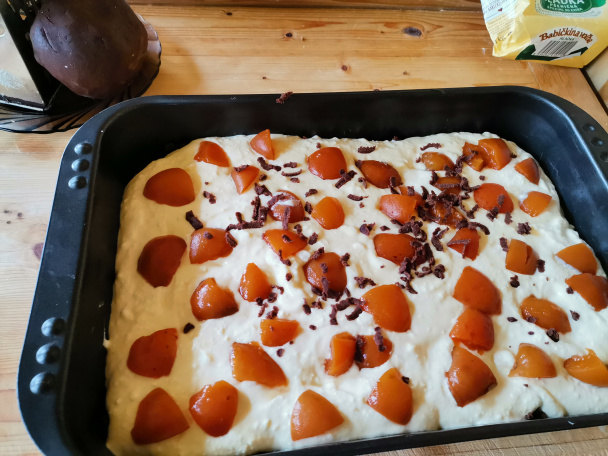 Hrnčekový tvarohovo-marhuľový strúhaný koláč (fotorecept) - obrázok 6