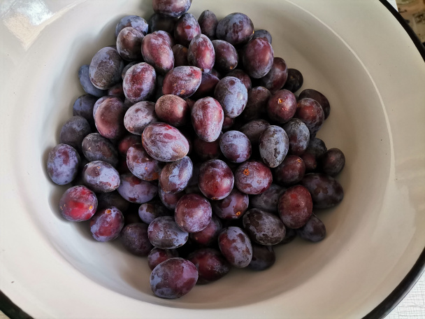 Hrnčekový slivkový koláč s tvarohom (fotorecept) - obrázok 5