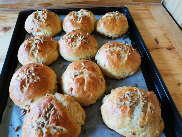 Kysnuté oškvarkové žemličky (fotorecept)  - obrázok 6