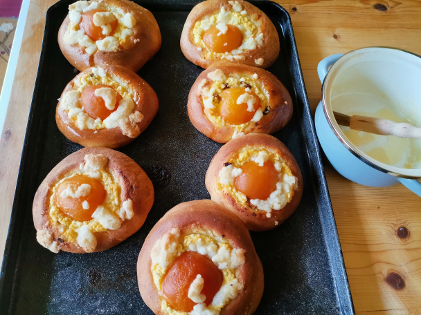 Pečené buchty s tvarohom a marhuľami (fotorecept) - obrázok 8