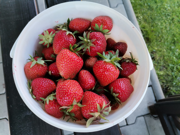 Jahody z chladničky (fotorecept) - obrázok 1