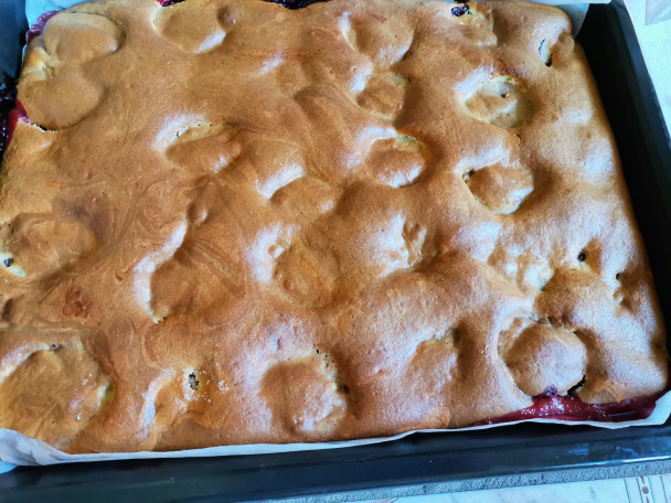 Slivkový zákusok s tvarohom a kyslou smotanou (fotorecept) - obrázok 7