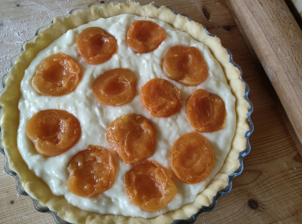Linecký koláčik s pudingom a marhuľami (fotorecept) - obrázok 8