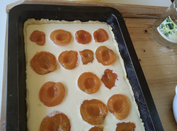 Dobrý tvarohový koláč s ovocím (fotorecept) - obrázok 7