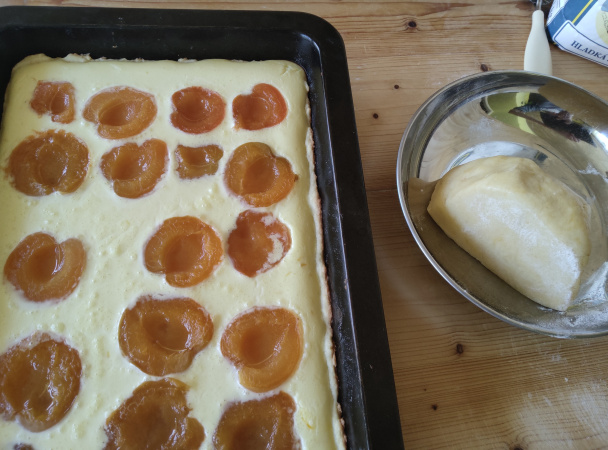 Dobrý tvarohový koláč s ovocím (fotorecept) - obrázok 8