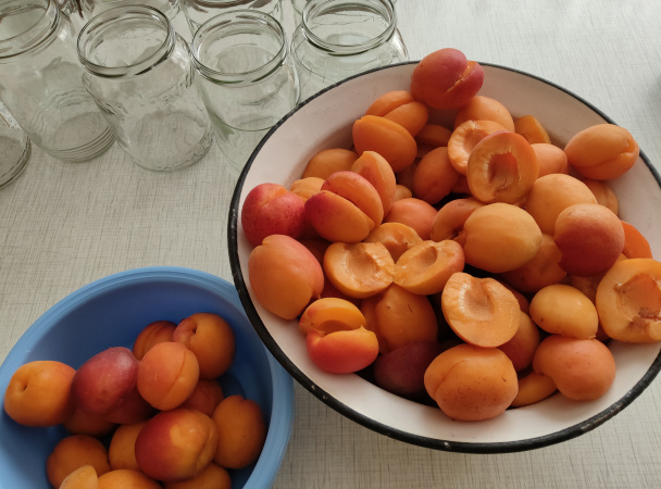 Marhuľový kompót podľa starých mám (fotorecept) - obrázok 2