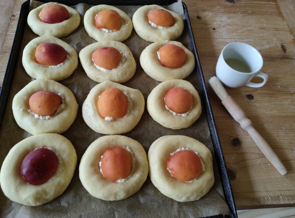 Kysnuté koláče zo sušeného mlieka s tvarohom a marhuľami (fotorecept) - obrázok 5