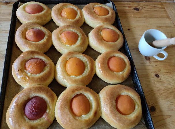 Kysnuté koláče zo sušeného mlieka s tvarohom a marhuľami (fotorecept) - obrázok 6