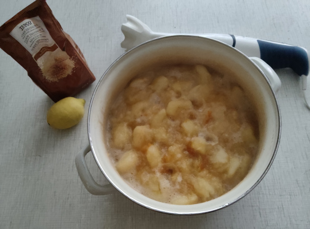 Jednoduchá ovocná detská výživa (fotorecept) - obrázok 3