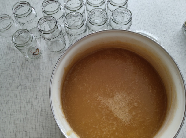 Jednoduchá ovocná detská výživa (fotorecept) - obrázok 4