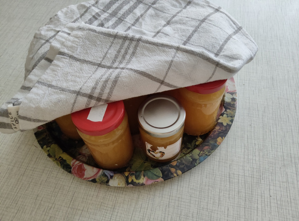 Jednoduchá ovocná detská výživa (fotorecept) - obrázok 6