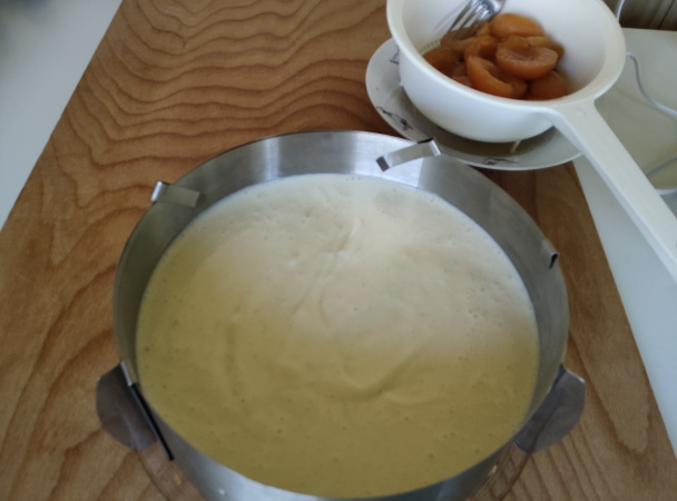 Marhuľový sen (fotorecept) - obrázok 8