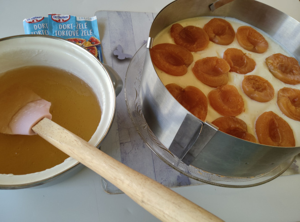 Marhuľový sen (fotorecept) - obrázok 9